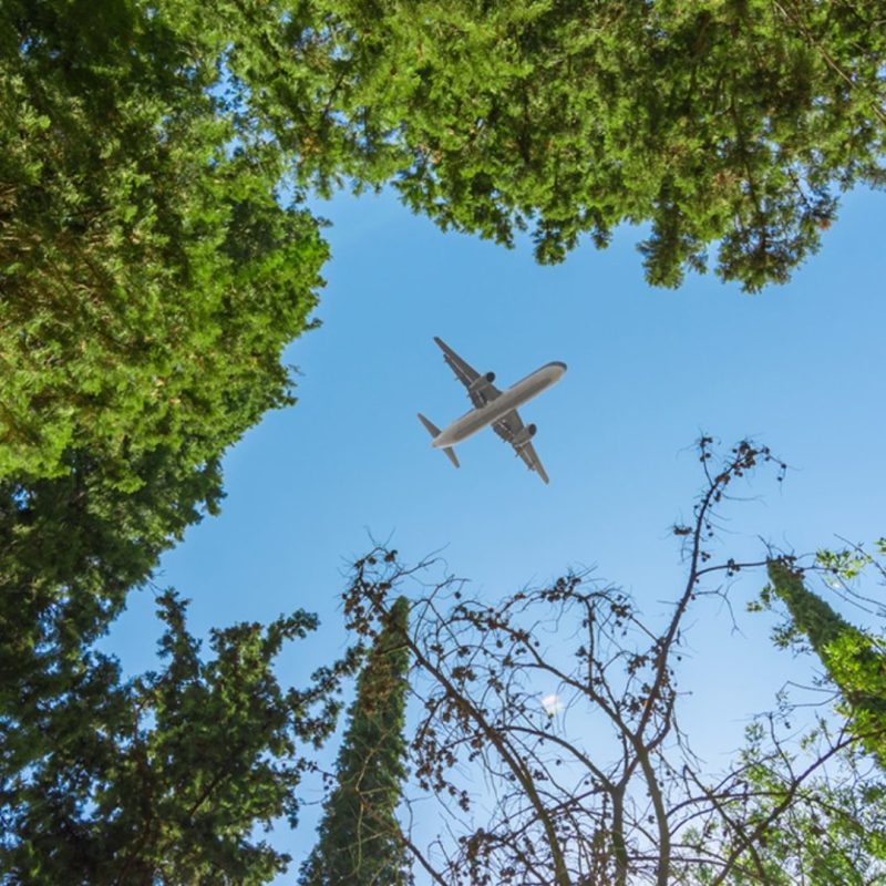 sustainable travel programs